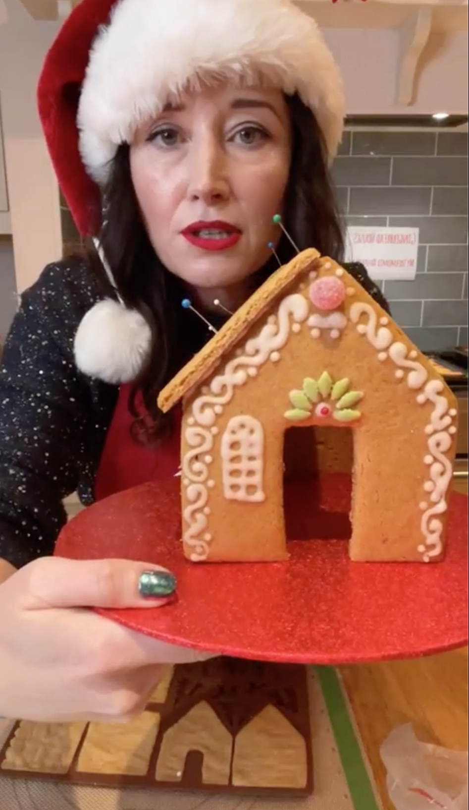 Gingerbread Houses My Thermomix Adventures